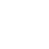 Phone-icon